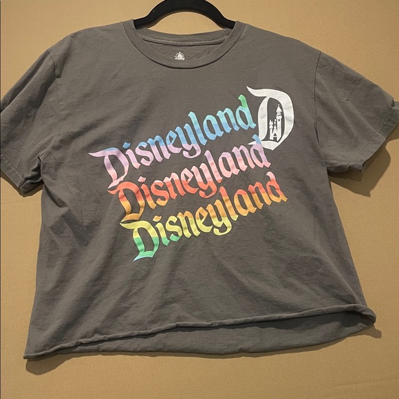 Disney  T-Shirt with Multicolor Disneyland Logo - Picture 1 of 3